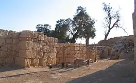 Image illustrative de l’article Ein Hazeva