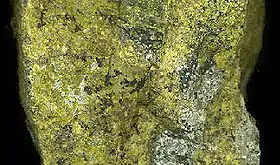 Image illustrative de l’article Nontronite