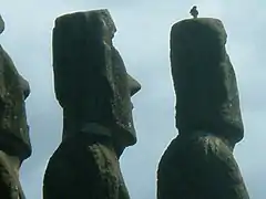 Toke-toke (faucon endémique de la famille des Milvago) posé au sommet d’un moaï.