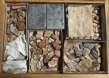 Mobilier archéologique de la grotte du Mas d'Azil