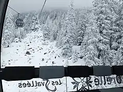 Photographie dans la télécabine d'Orelle (hiver 2022) avec la forêt enneigée autour, les câbles de cabines au-dessus.