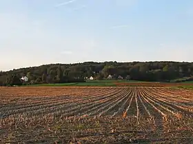 Le mont de l'Enclus, vue du côté wallon.