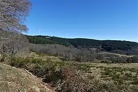 Le mont Bessou (à gauche) depuis la route des Hêtres (environ 2 km à l'ouest).