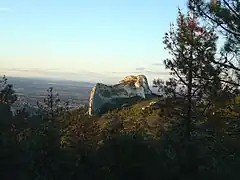 Le mont Gaussier vu depuis le Sud, dans la zone de La Caume.
