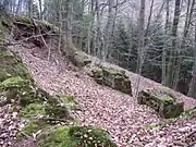 Restes des bâtiments annexes