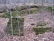 Restes des bâtiments annexes