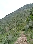 Sentier de randonnée.