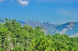 Monte Incudine et fourches d'Asinao.