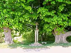 Le calvaire de la fontaine Sainte-Geneviève, encadré par de majestueux marronniers.