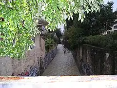 Un jour pluvieux, vue depuis la passerelle de la rue Dubreuil et coulant en direction de la station de tramway Place Albert 1er-Saint Charles (au fond, cachée par la végétation).