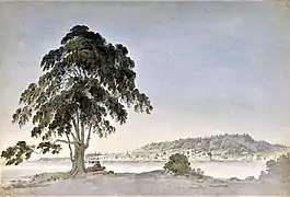 Montréal vu de l'île Sainte-Hélène