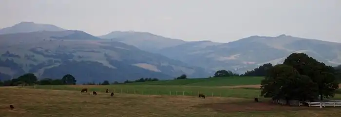 Vue panoramique depuis le plateau de Saint-Cernin avec les montagnes du col de Légal à droite et au centre et le puy Chavaroche à gauche. En contrebas, une ligne courbe longeant le piémont allant de gauche à droite, faite de bouquets d'arbres peu touffus mais qui le sont plus à droite de la photo. Cette ligne enserre une étendue plane et vaste de terres plus rousses où pâturent quelques bêtes et d'autres plus vertes.