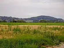 Mont des Récollets vu depuis Hondeghem