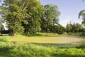 Morawa (Lidzbark Warmiński)