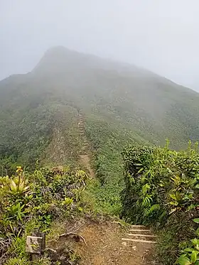 Vue du morne Carmichaël.