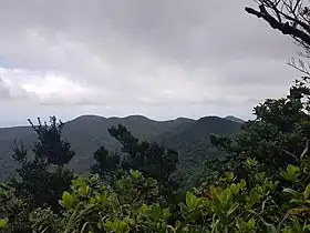 Morne Marguerite Larue, morne Scipion, morne Bois d'Inde, morne Mazeau et le Dos d'Âne.