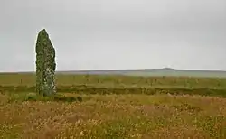 Image illustrative de l’article Mor Stein