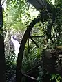 Moulin de la cascade de la Coulisse, avec la cascade en arrière-fond.