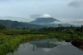 Le volcan Sumbing