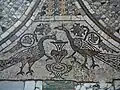 Église Sainte-Marie et Saint-Donat - Pavement - Les paons symbole d'immortalité.