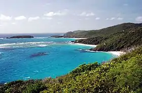Moustique dans les Grenadines.