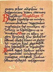 Page du Codex de Nádor utilisant le o barre souscrite.
