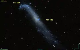 Image illustrative de l’article NGC 4656 et 4657