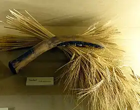 Image illustrative de l’article Magzalia