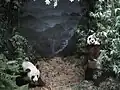 Diorama des pandas
