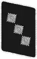 Patte de col de Sturmführer du Nationalsozialistisches Kraftfahrkorps.