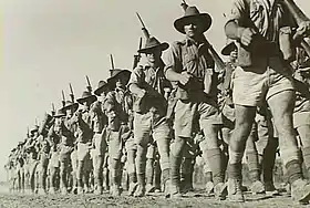 Image illustrative de l’article Northern Territory Force