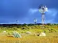 Namaqualand au Cap-Occidental.