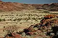 Twyfelfontein.