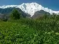 Vue du Rakaposhi depuis Nasirabad.