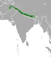 Carte de l'Asie du sud avec une longue tache verte au nord de l'Inde