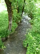 La Neste d'Oueil à Mayrègne.