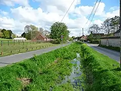 la Bourne à "Newton Tony".