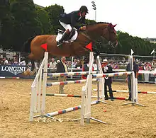 Sur la détente d'un concours, un cavalier et son cheval bai franchissent un très gros oxer tricolore sous l’œil des spectateurs et des juges.