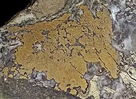 Nickeline - Silver Bar Mine, Cobalt, Ontario, Canada (6 × 4 cm)