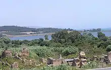 photographie : des murs de briques en ruines dans la verdure