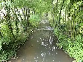 La Nizonne au pont de la route départementale 99, en limite de Sainte-Croix-de-Mareuil et de l'ancienne commune des Graulges.
