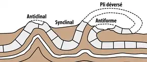 Figure 1 : schéma indiquant les principales configurations de plis géologiques.