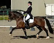 Photo en couleur d'un cheval alezan monté par une cavalière en tenue de concours.