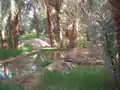 Une oasis à Timimoun dans le désert algérien