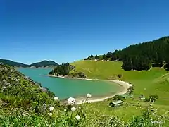Photographie d'une baie entourée de pentes partiellement déboisées surmontées de forêts de conifères.