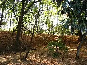 Image illustrative de l’article Château de Nirengi