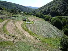 La photographie en couleur montre un mas, hameau cévenol, vu depuis l'autre versant de la montagne. Au-dessous des maisons cévenoles et leurs dépendances accrochées à la montagne, des terrasses en mauvais état sont en herbe, vestiges d'une agriculture ancienne.