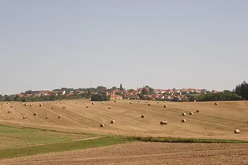 Panorama de Okrouhla.