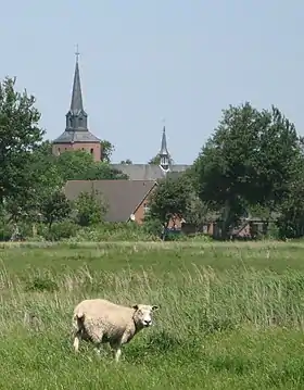 Oldenswort