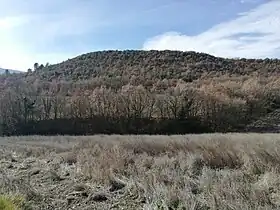 Image illustrative de l’article Oppidum de la Vache d'Or